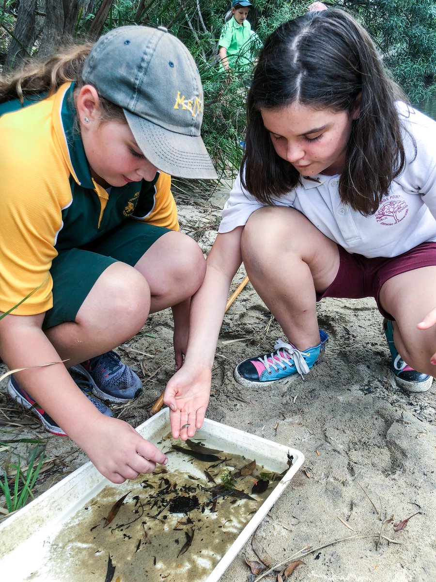 GeorgesRiverEEC's tweet photo. The Stage 3 students from Menai High GAT program spent today engaging in issues surrounding water and the shaping of sustainable futures. Georges River provided the perfect comparison sites in both Chipping Norton lake and Simmos beach. #GeorgesRiverEEC #EZEC Menai High School https://t.co/pd4HbubbUQ