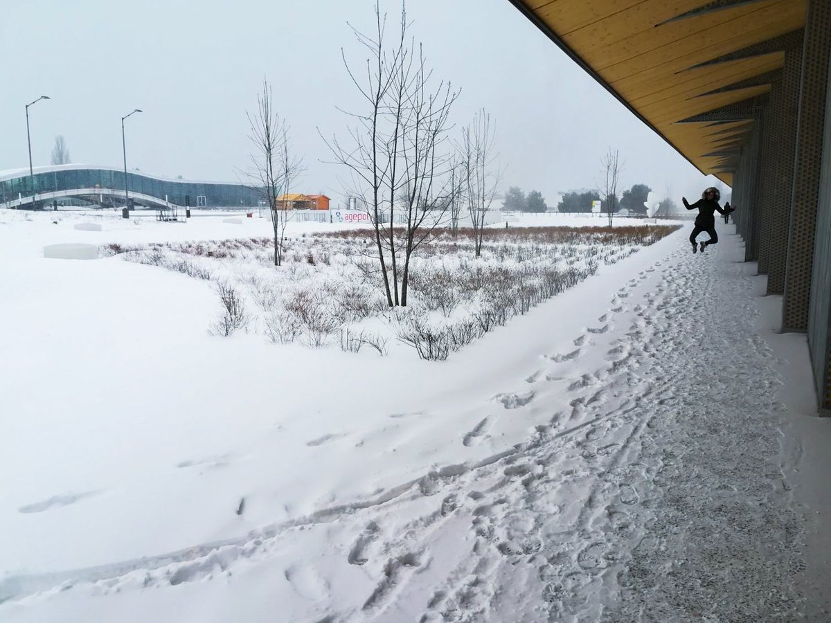 EPFL_en's tweet image. That&apos;s how we like our campus ⛄️😎 #EPFLSnow #EPFLCampus