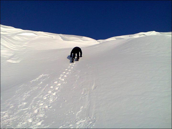 Natalie82Tweets's tweet photo. #beastfromtheeast won't be denting my plans today. Thank the lord for no commute. Though I'm still venturing out for a brisk walk with the dog  at lunch time. Now where did I put my snow shoes...  #workingfromhome #freelancer https://t.co/gZOUndsH9d