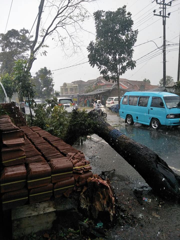 @UptPerkam Evakuasi Pohon tumbang akibat hujan deras di daerah ciluncat #0103 <a href="/humaskabbandung/">Humas Pemkab Bandung</a> <a href="/InfoBdgKab/">Info Kab. Bandung</a>