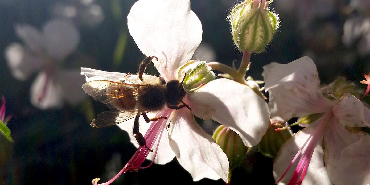 hallbarstad.se/urbio/hallbart…