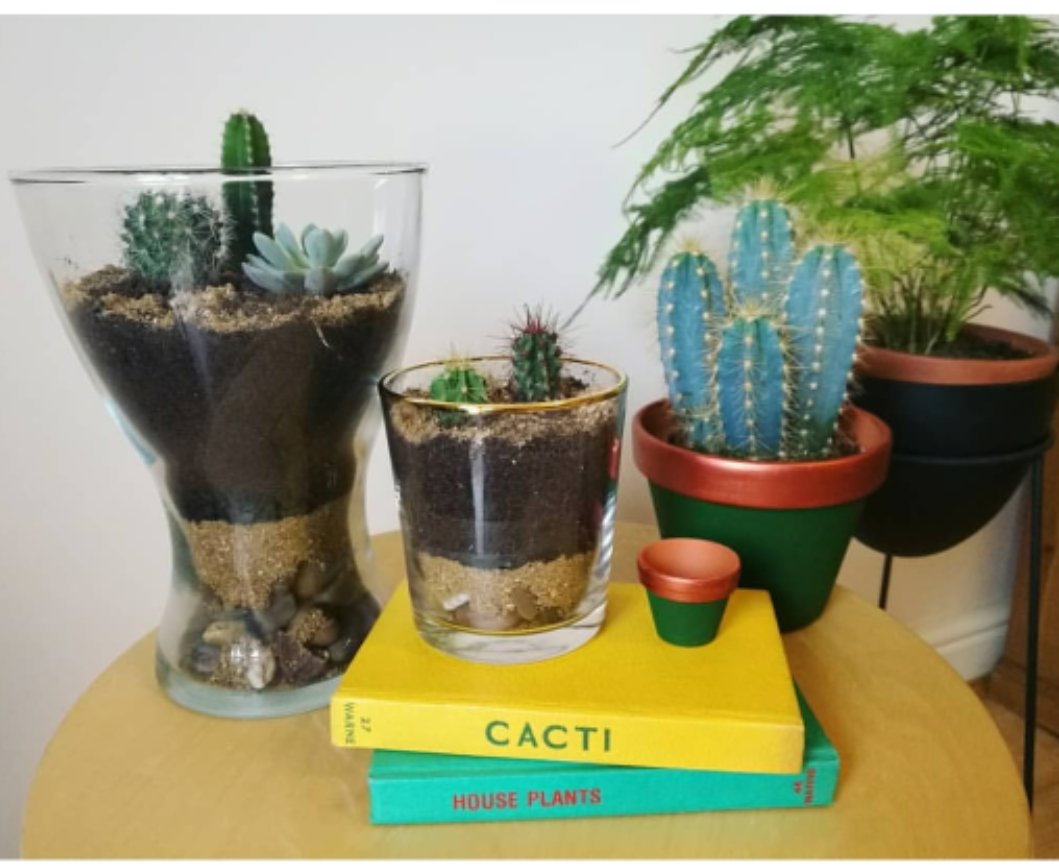 Excited to soon welcome in store  the stylish and literary #bookish <a href="/SapPlants/">Sap Plants</a> range of indoor greenery #midcenturymodern