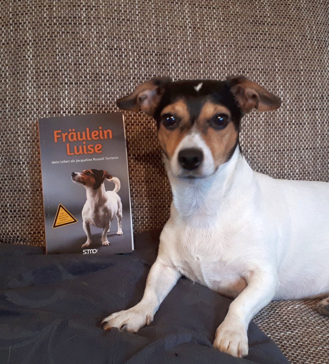SMOVerlag's tweet photo. @dpa @heuteshow Bummsfallera! Die Terrier-Lady, die schon aus Prinzip keinen Nachnamen besitzen möchte. @Fraeulein_Luise – Mein Leben als Jacqueline Russell Terrierin https://t.co/fj3dsuhuOd https://t.co/Vn2OGhd5yC