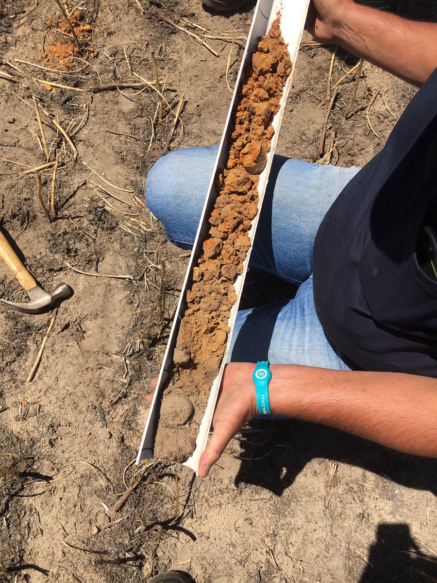 FaceyGroup's tweet photo. Big day out soil sampling our lime incorporation and rip off demo site today! Thanks heaps to @frankdemden and @brett_coxon for all your support and expert advice ๐ https://t.co/IucLhVGgUb