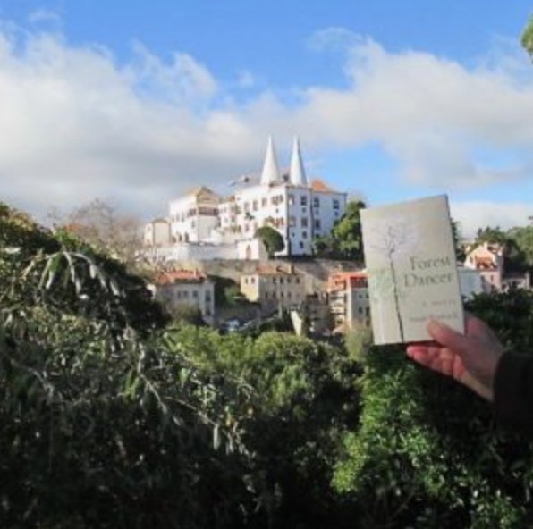 TripFiction's tweet image. Review of #ForestDancer by @sueroebuck over on @Williams13Anne 
beinganne.com/2018/03/blogto…
'..settings are so important to a novel and that they should “infiltrate the plot”'
#sintra #Portugal
 @BrookCottageBks @crookedcatbooks
