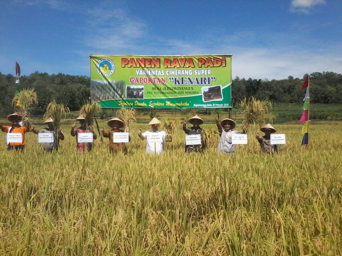 Sigit_apap's tweet photo. Panen Raya Padi Ciherang 
Bersama Wabub Kebumen dan Muspika
#gapoktan
#desajlegiwinangun 
#kutowinangun
#kebumen
 
#panenraya
#PLDJateng cc:@DISPERMADES_JTG @ganjarpranowo @KemenDesa @EkoSandjojo @taufikmadjid71  @tppindonesia @karniilyas https://t.co/uRh6Iza59i