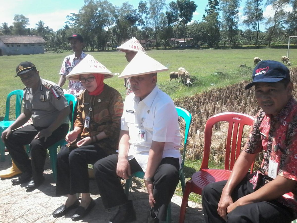 Sigit_apap's tweet photo. Panen Raya Padi Ciherang 
Bersama Wabub Kebumen dan Muspika
#gapoktan
#desajlegiwinangun 
#kutowinangun
#kebumen
 
#panenraya
#PLDJateng cc:@DISPERMADES_JTG @ganjarpranowo @KemenDesa @EkoSandjojo @taufikmadjid71  @tppindonesia @karniilyas https://t.co/uRh6Iza59i