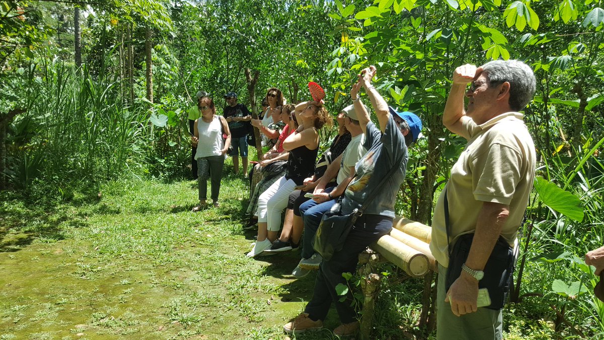 Explore the nature with us Bali Jeep Tours balijeeptour.com