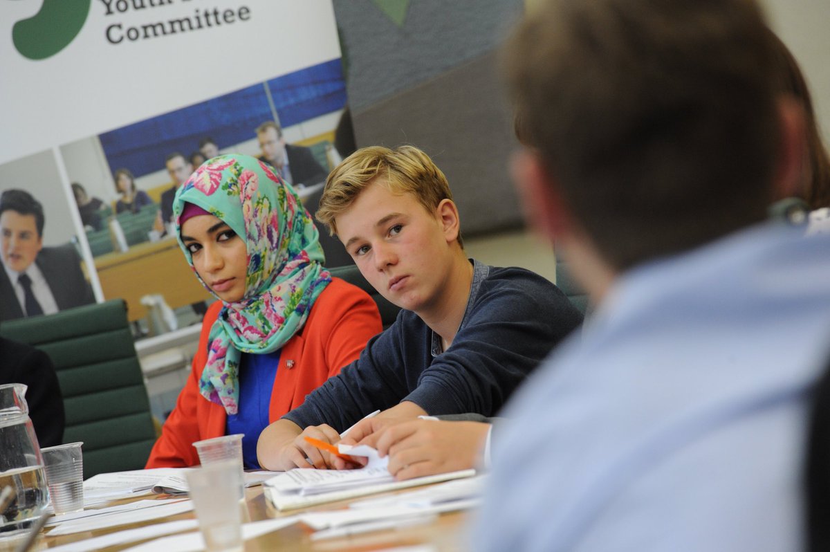 Youth Select Committee oral evidence session in July 2017.