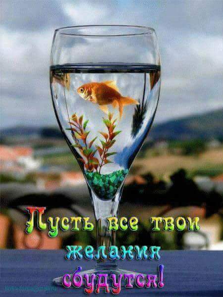 fffvggfytf's tweet photo. حبك..سجاده.صلاتي..كيف.أنساك..أناديك..يا حياتي..    حبك.قد.تعدى حدود.الكون..انتي.حبك في روحي.يامناتي.. يااسطوره.لكل.العاشقين آلله.....الله....عشقي.والهمني...حبك لآخر.شهقه.من.أنفاسي.يارايه.الحب.ماذا أقول.ما ذا اكتب على.رايتي.حبيبتي.ياروعه.الحب.انتي.وكل.راياتي https://t.co/KDIAn7GtXC