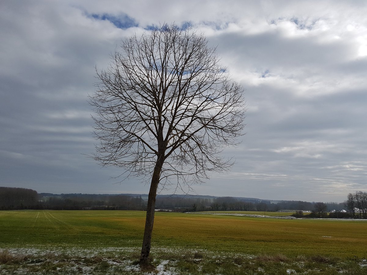 PMarlier's tweet photo. Ciel de #touraine du Sud
#Bridore https://t.co/pgLEcJr1MP