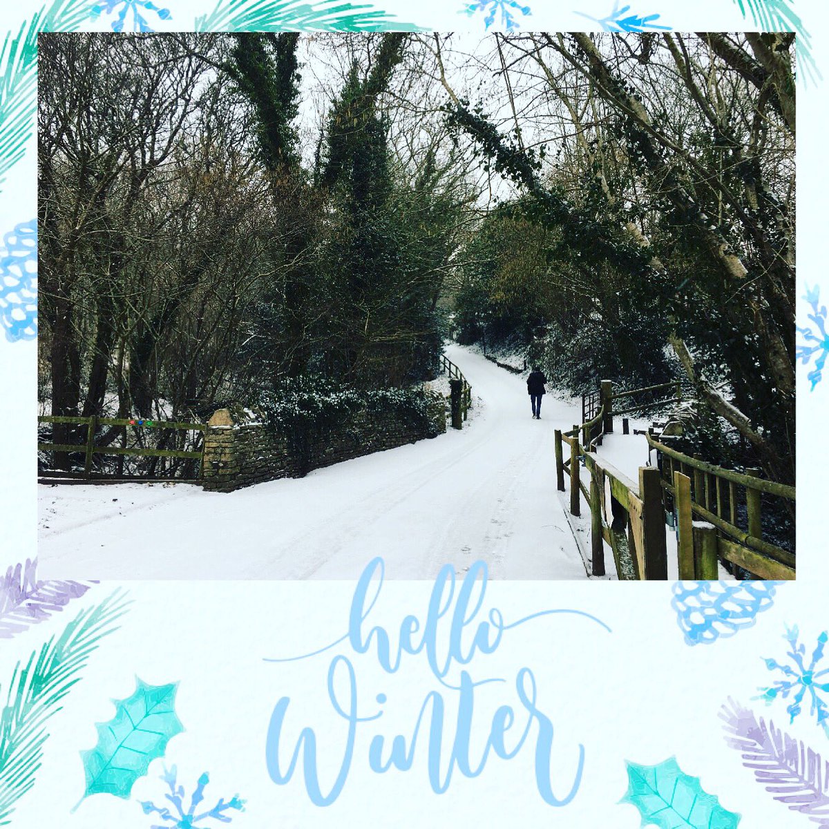 ThymeChef's tweet photo. Winter is here! https://t.co/NfXGKyPIHq