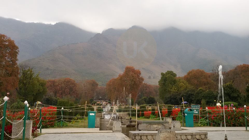 UniqueKashmir's tweet photo. Twenty Sixteen, Month of October, A random click at Nishat, Kashmir is Life
#UniqueKashmir https://t.co/uaxMTXOB3t
