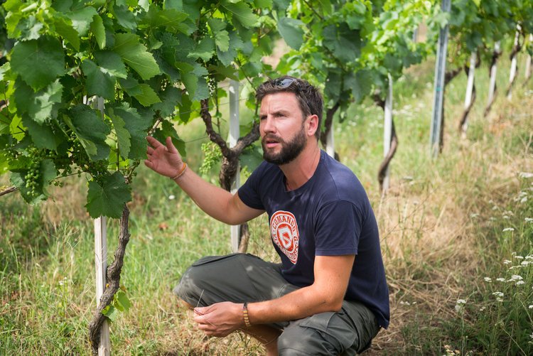 AustrianWineUK's tweet photo. More fantastic winemakers taking part in #NewOldWorld by @newcomer_wines on Monday:

Martin Muthenthaler – Spitzer Graben, Wachau 
 
Christoph Neumeister – Straden, Styria
 
Martin Nittnaus – Gols, Neusiedlersee
 
Claus Preisinger - Neusiedlersee

more to follow... !! https://t.co/knwwZAt0BN