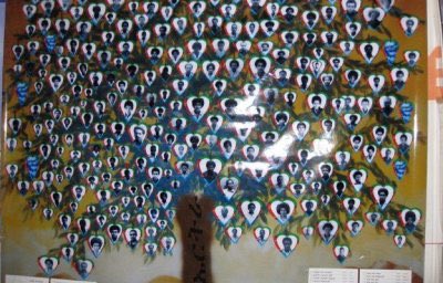 Hagerawi24's tweet photo. This tree bears the photos of 264 "martyrs" who were killed in the space of five days as the Eritrean rebels made a final push into the capital, #Asmara, in 1991. #Eritrea https://t.co/CXiExGjn9l
