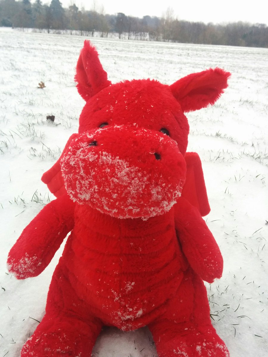 WalesGMC's tweet photo. Dydd Gŵyl Dewi Hapus! Happy St David's Day! 🏴󠁧󠁢󠁷󠁬󠁳󠁿

Dewi dropped by the office today to say hello! He's never seen snow before so had some fun in the field behind our office.

He enjoyed it less being forced into our daffodil hat.

@WalesGenePark @Tweet2Wales @BBCWales https://t.co/VegESqlJeF