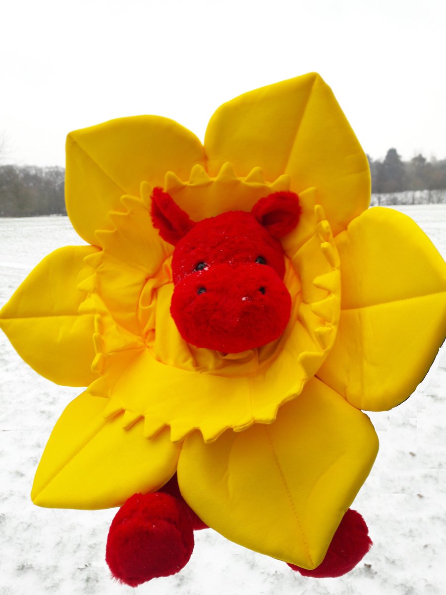 WalesGMC's tweet photo. Dydd Gŵyl Dewi Hapus! Happy St David's Day! 🏴󠁧󠁢󠁷󠁬󠁳󠁿

Dewi dropped by the office today to say hello! He's never seen snow before so had some fun in the field behind our office.

He enjoyed it less being forced into our daffodil hat.

@WalesGenePark @Tweet2Wales @BBCWales https://t.co/VegESqlJeF