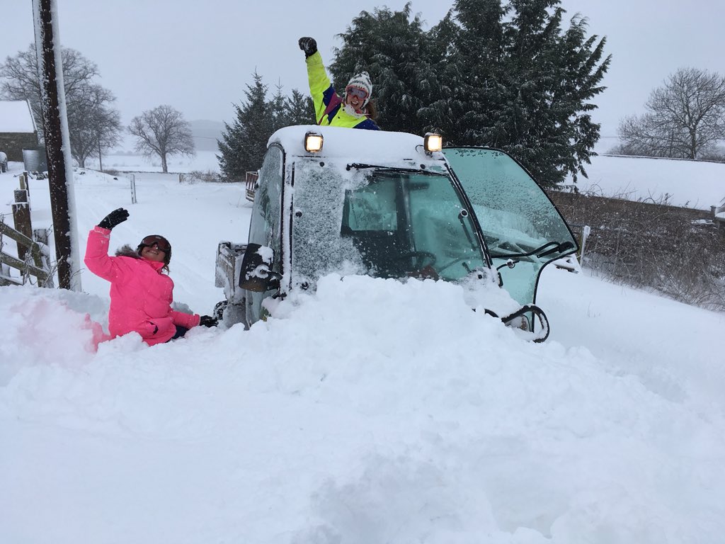 skippyfarm's tweet photo. Weโre trying our best to get to the office today... but may not make it #emailonly #workingfromhome https://t.co/CgcwVvZifQ