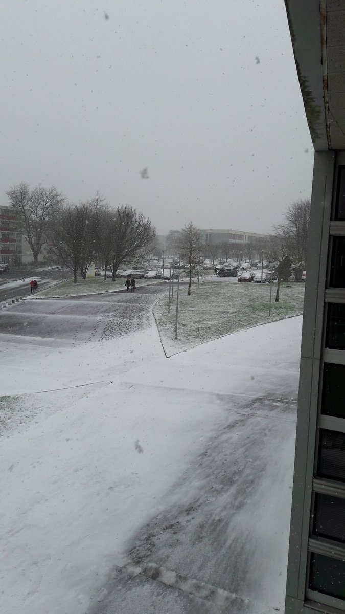 Julien Boisson (Julien_Boisson_) Twitter