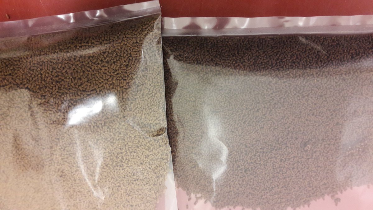 NVWA_Import's tweet photo. #importkeuring #voer voor #siervissen. Het verschil tussen de korrels hangt af van de verhouding tussen dierlijke en plantaardig eiwitten en de samenstelling. Deze kennis is belangrijk voor de #keuring. https://t.co/u8kcRa3FOE