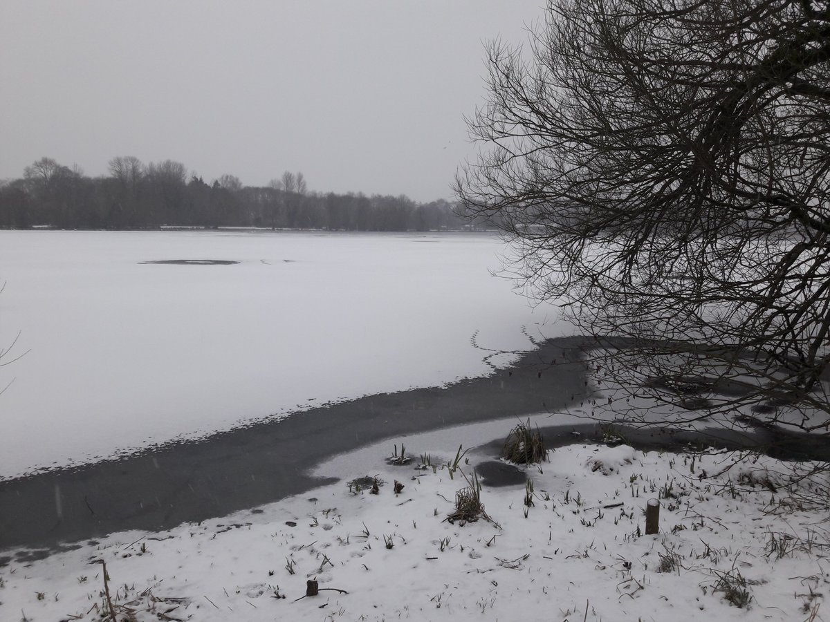 It is the first day of Meteorological Spring in the Northern Hemisphere but across much of Europe it feels anything but spring-like ❄️#spring #uksnow #winter