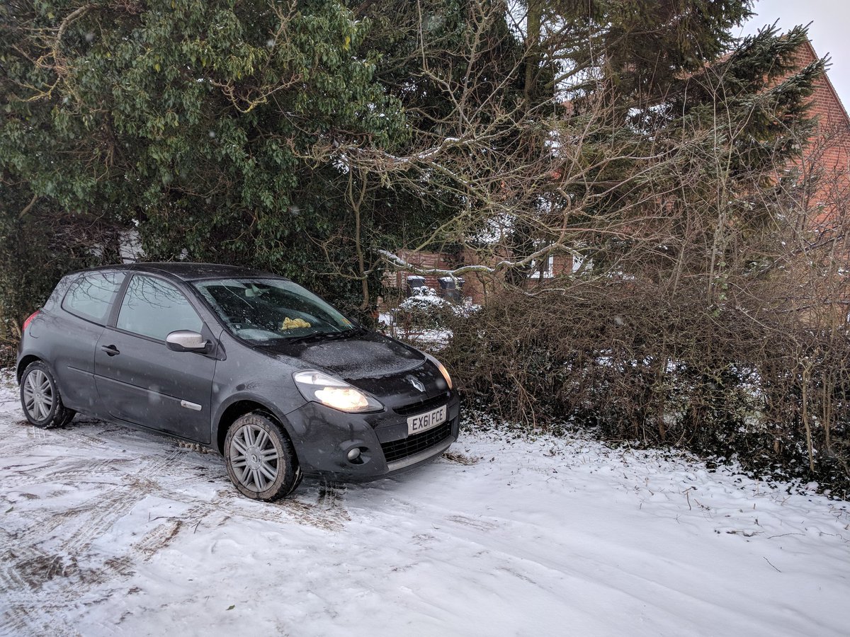 TheContraryClio's tweet image. I'm at my new home! It's a bit brighter than the old one...