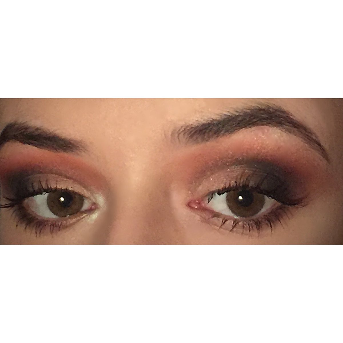 leahruby13's tweet image. Ha I’ve missed a lot on here...