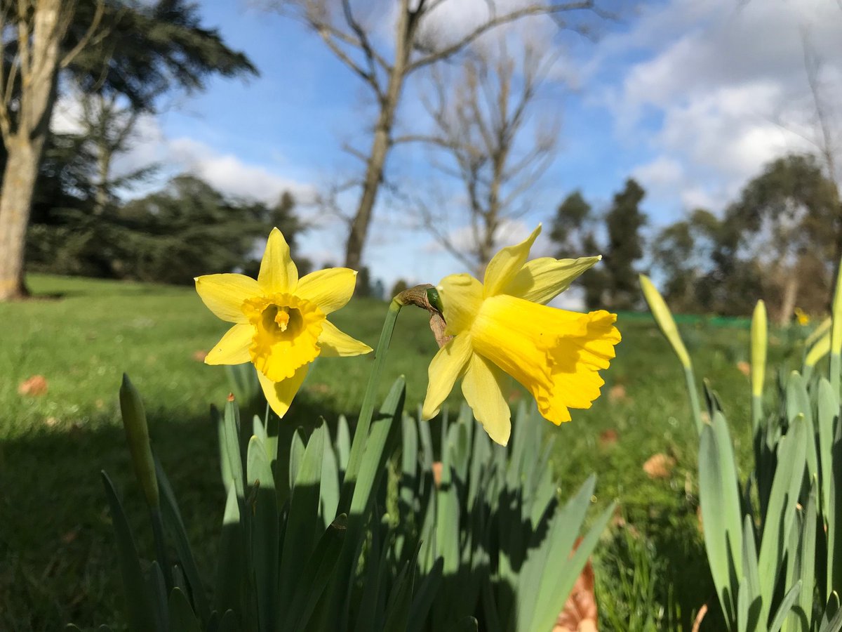 Ayrton Wylie tweet media