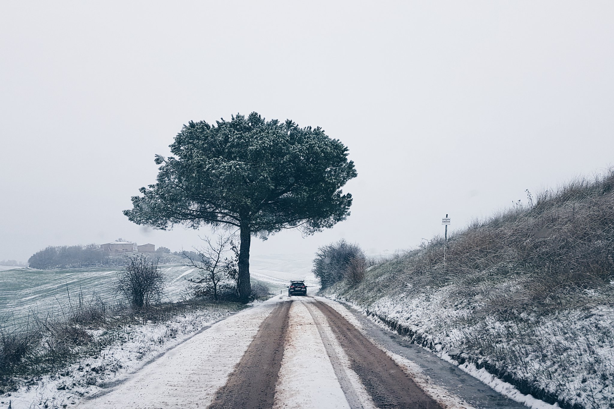 Wiggle High5 on Twitter