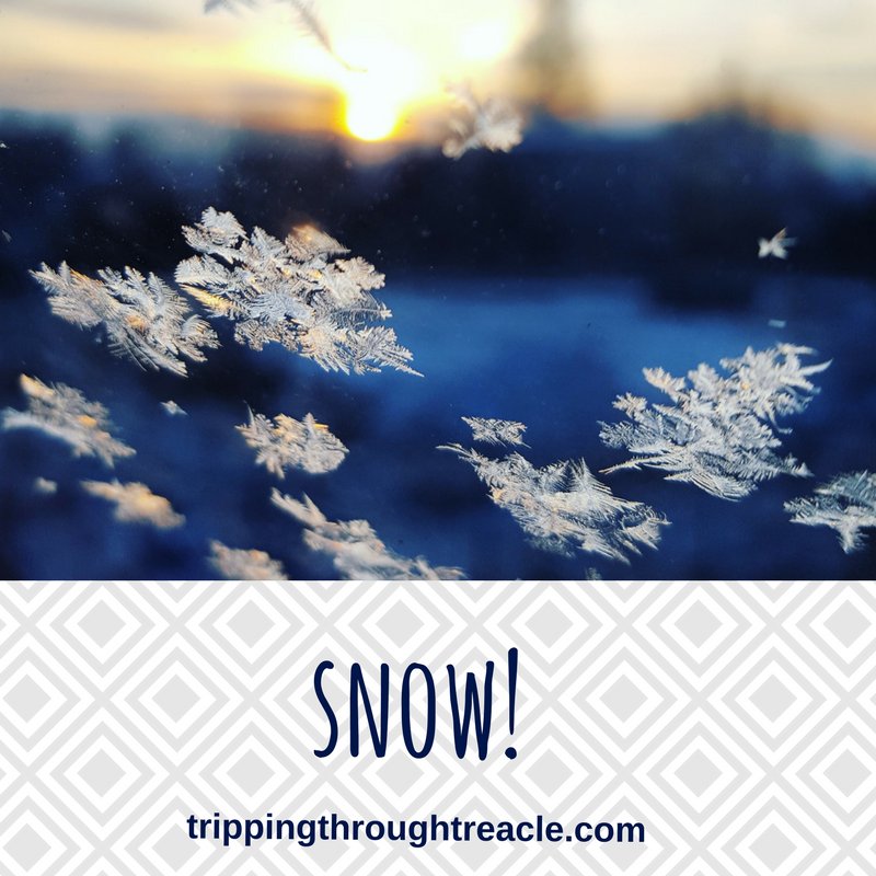 TrippingTreacle's tweet photo. Snow! A quick blog post on how the recent snow is hard for those with disabilities #snow #blog #chronicblogs #bloggingbed #CIblogger #MS #disability https://t.co/XF9abckDkp https://t.co/SxnQyFVvR2