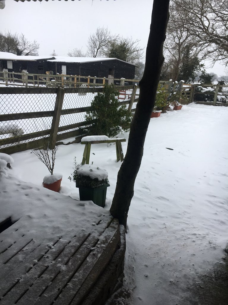 _itsmebecca's tweet photo. @thismorning don’t think I’ll be going very far today!! #ThisMorning https://t.co/NCkHCoEqp6