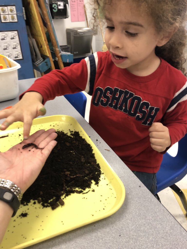 PrekMsJohnson's tweet photo. We learned today that worms are not insects because they don’t have legs or antennae!  #wormlife #freedom #sorryfish #wormslivesmatter https://t.co/tkApFRBJmu
