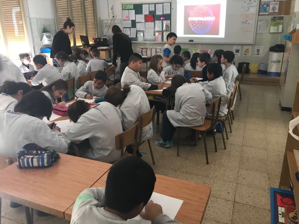 FedacLleida's tweet photo. PRIMÀRIA: aquesta setmana la Maria Chueca s’ha acomiadat de les seves pràctiques fent un PASAPALABRA amb els alumnes de 4t de primària. #estemOberts #practicants https://t.co/41Mgm4qA9k