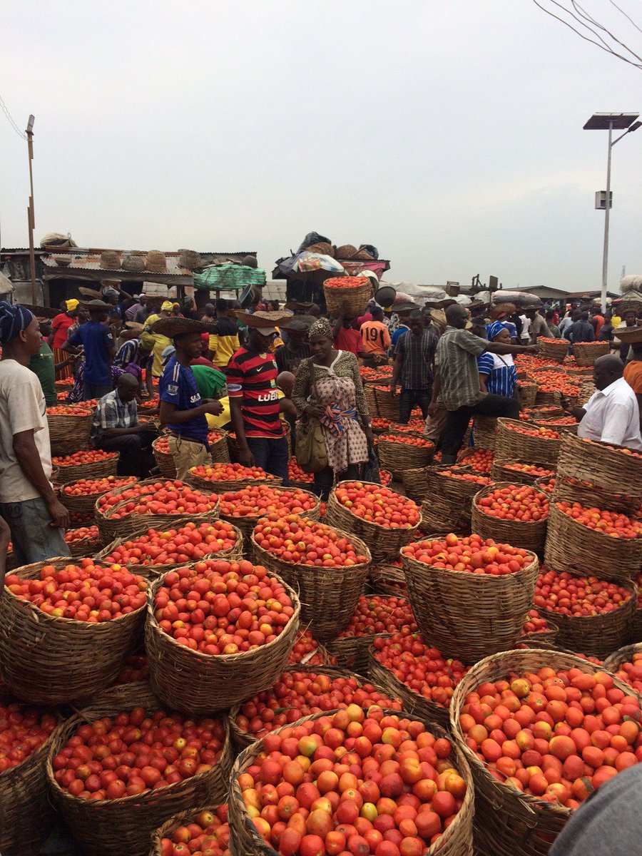 What a joy to meet all those wonderful organizations who play a role in fighting #postharvestlosses in #Nigeria! We look forward to the launch of our foodconnectionchallenge.com
<a href="/wennovation/">Wennovation Hub</a> <a href="/IITA_CGIAR/">IITA</a> <a href="/EDC4SME/">Enterprise Development Centre</a> <a href="/NaijalinkLTD/">Naijalink Limited</a> <a href="/GAINalliance/">GAIN</a> <a href="/farmcrowdy/">Farmcrowdy</a> @BoPInc