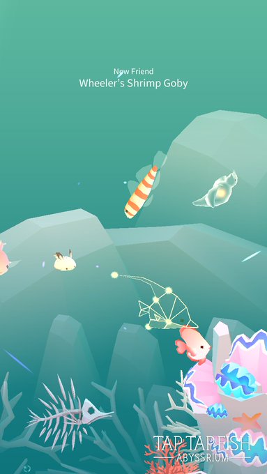 My Wheeler&rsquo;s Shrimp Goby:)  #taptapfish Download: https://t.co/XI5Lac0Uyd https://t.co/tfQZdJaAcM<a href="/tag/taptapfish"class="tags">#taptapfish</a>