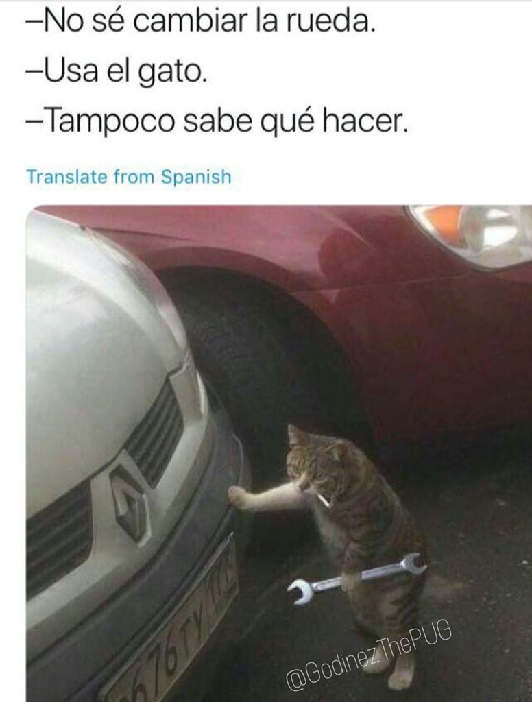 GodinezThePug's tweet photo. Buen día mis ganadores https://t.co/2x5S2p1D58