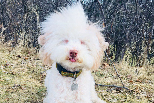 WeDropThing's tweet image. Weird little winker