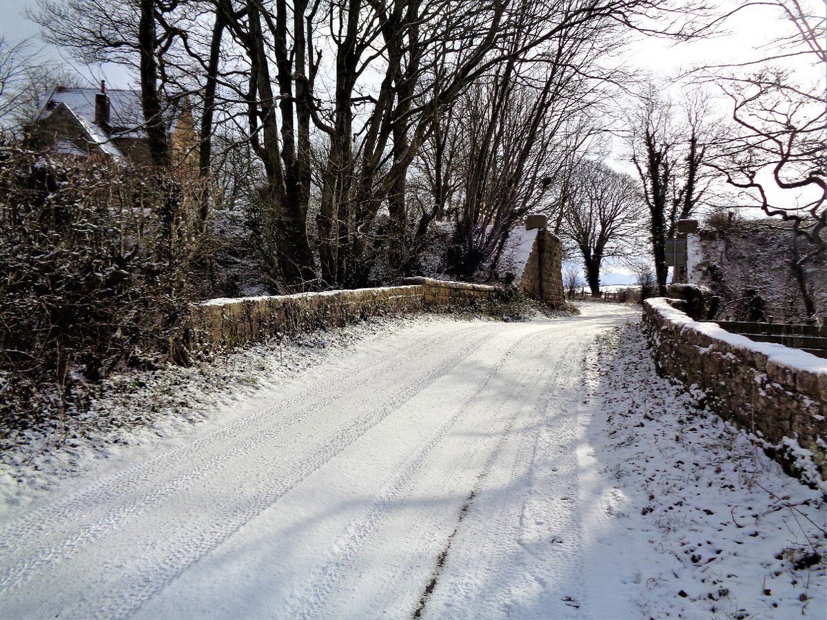 StanLeigh18's tweet photo. @CumbriaWeather @PictureCumbria @glocky9 @Wainwright_Pub @keswickbootco Low level walking at present - #Papcastle #Bridekirk yesterday wasπ https://t.co/XYCOKAchUT