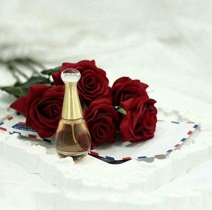 CH5nCBhhyZf3mqQ's tweet photo. مساء الخير https://t.co/vlck0rOeXm