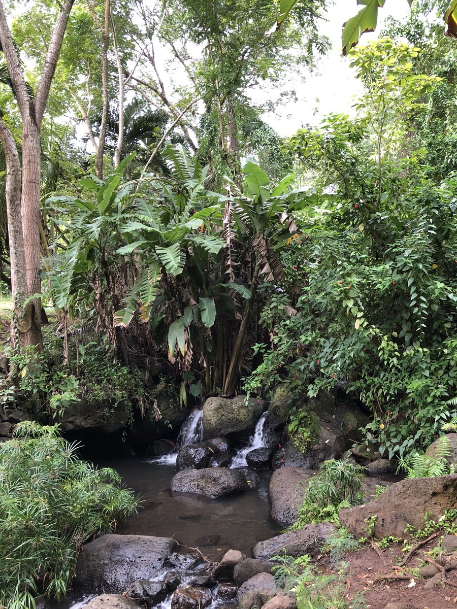 Christine Hartmann tweet media