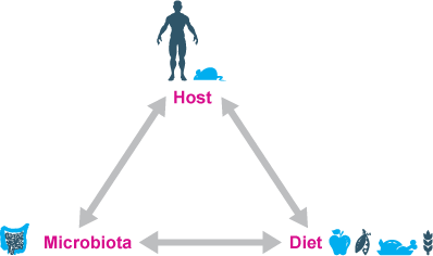 SinaiImmunol's tweet photo. The #FaithLab studies the influence of #diet and gut
#microbiome composition on immune-mediated inflammatory disease. Their long-term objective is to inspire and develop microbiota-driven therapeutics. https://t.co/vZKPqNT5GW