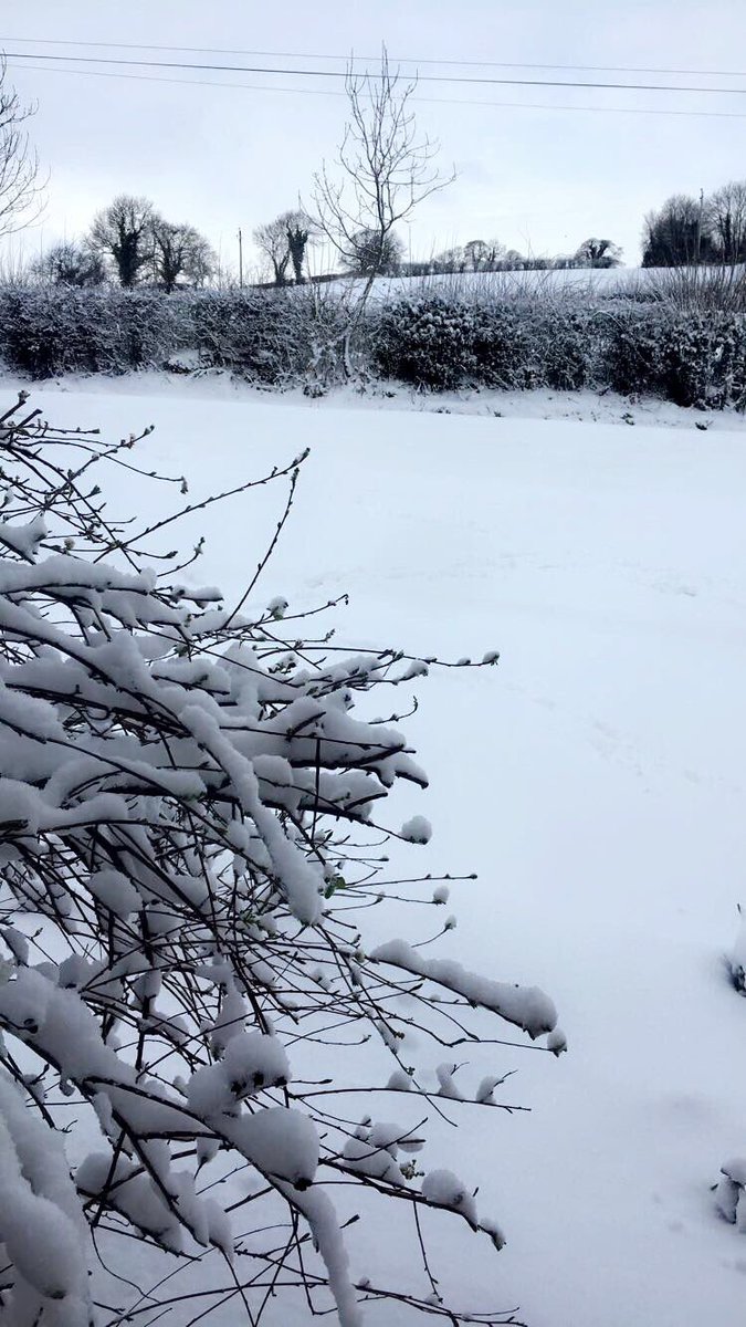 olivia_mcd2's tweet photo. Snow Day ❄️ https://t.co/doKpCXiYA4