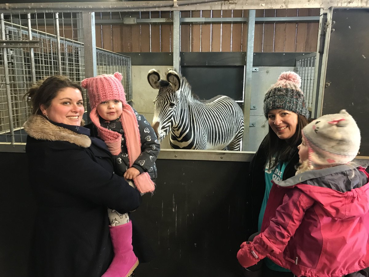 rarediseaseuk's tweet photo. Yesterday @CWOA and @BristolZooGdns participated in #RareDiseaseDay activities and some families had a fun day out with the zebras! #1in17 #RareDiseaseDay #BeAZebra https://t.co/96CUOnvYAQ