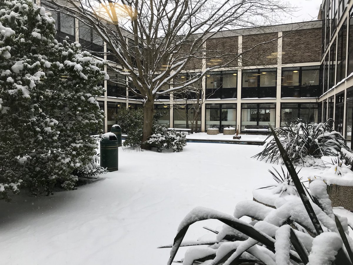 UoNJudo's tweet photo. Keep an eye on our Facebook page for updates on which sessions are running in the snow ❄️⛄️🌨 https://t.co/EZvbfvNUWe