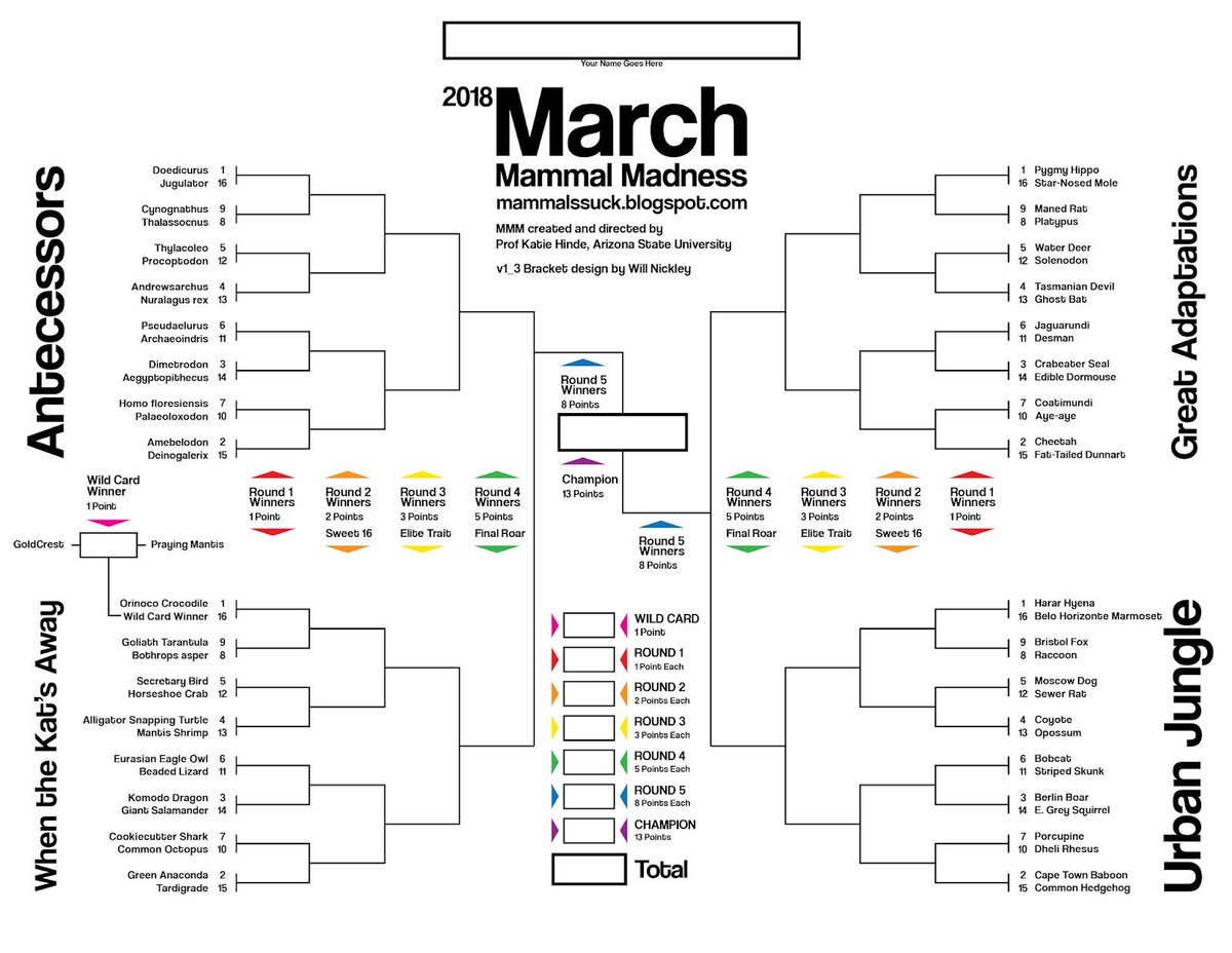 MMMletsgo's tweet photo. #2018MMM bracket is here!!! Do your research, choose your winner, and be ready for Wild Card Battle March 12. More information on https://t.co/PIkkO8Zs7e https://t.co/fs053kE5rd