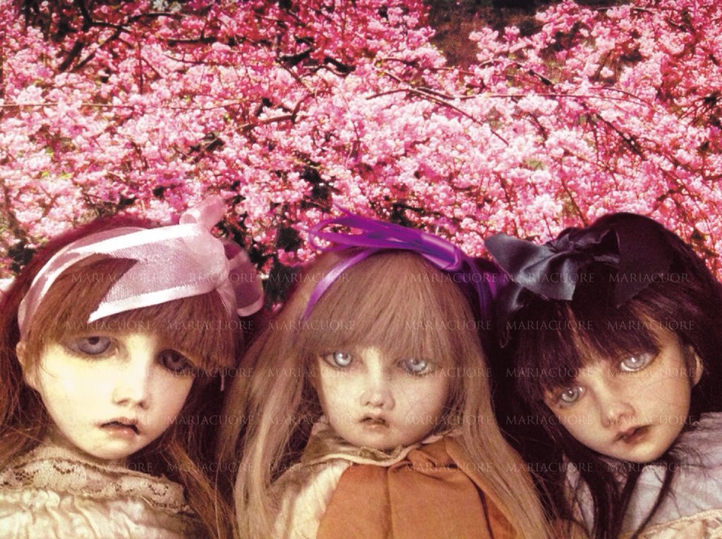 可淡のお雛祀り》 昨年の大反響にお応えして、3月2日（金）より特別