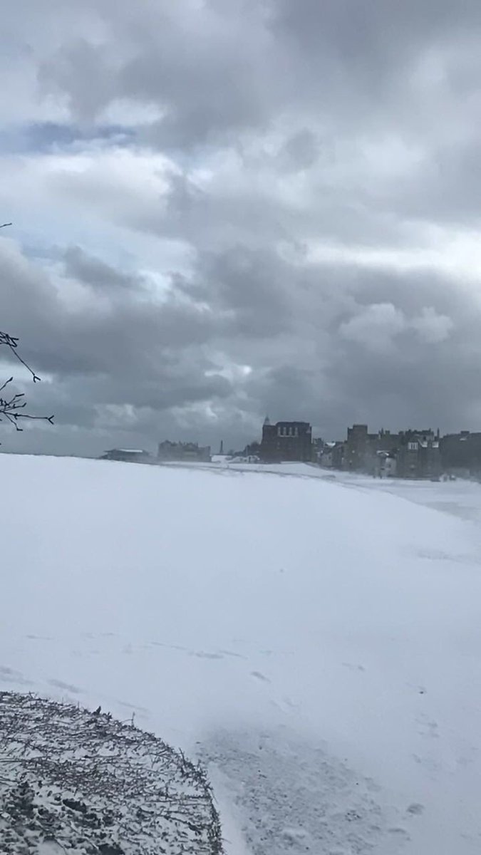 Camilla Tait Robb tweet media