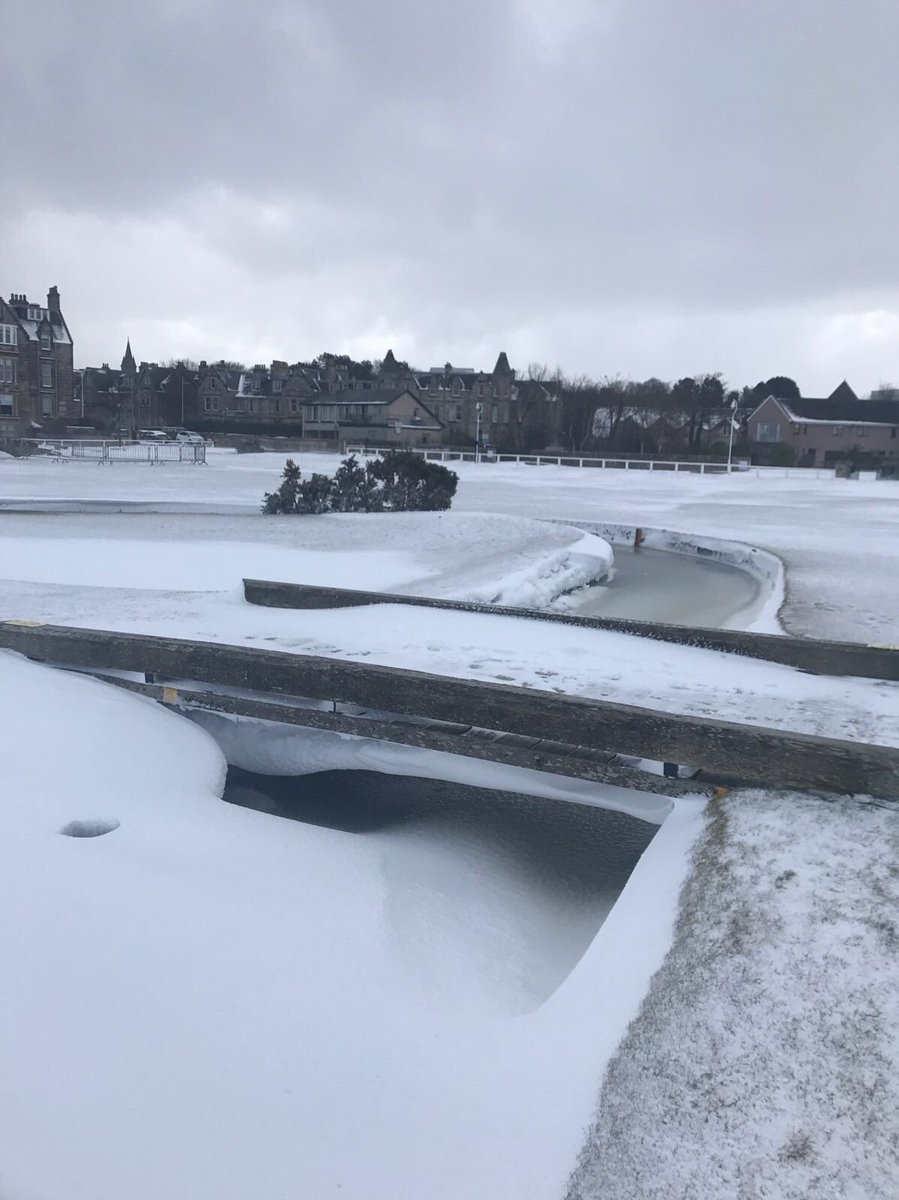 Camilla Tait Robb tweet media