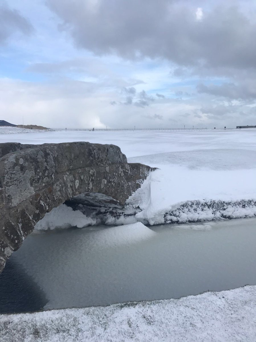 Camilla Tait Robb tweet media