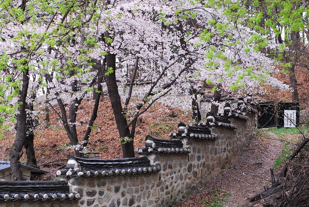 AnzacEducation's tweet photo. Musim Semi di Korea Selatan https://t.co/E2LIyoe1VQ https://t.co/5QgJ8IpMYf